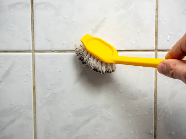 Best Mold Testing  in White Pigeon, MI