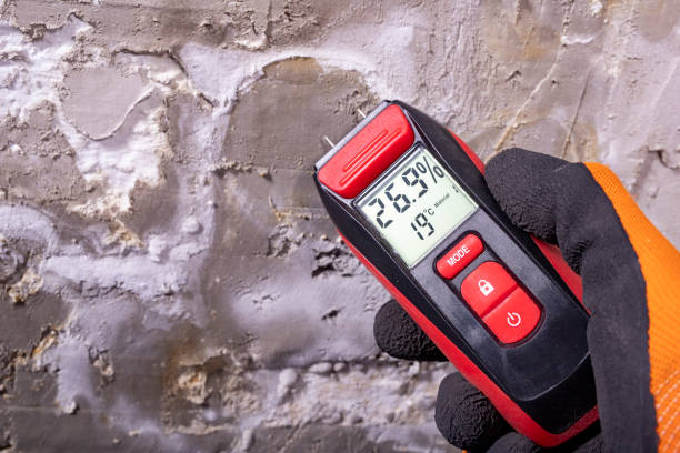 Best Mold Remediation Experts  in White Pigeon, MI