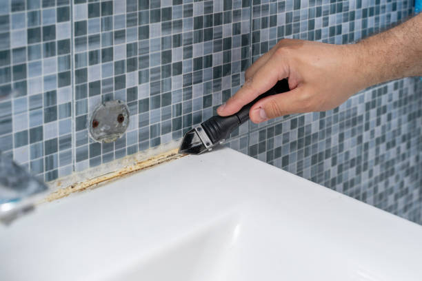 Best Same-Day Mold Removal  in White Pigeon, MI
